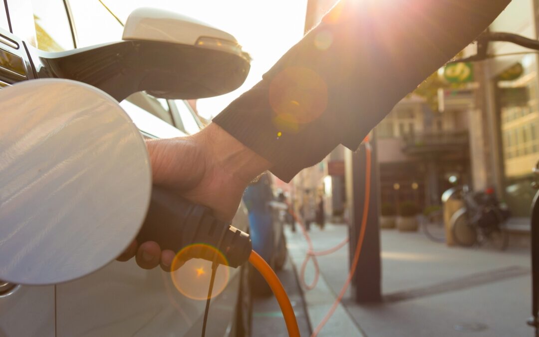 Green subsidies may have hidden costs, a policy piece in “Science” by CLEETS expert Marty Anderies