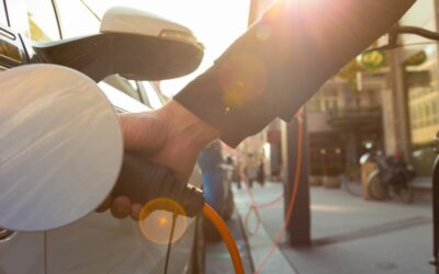 Green subsidies may have hidden costs, a policy piece in “Science” by CLEETS expert Marty Anderies