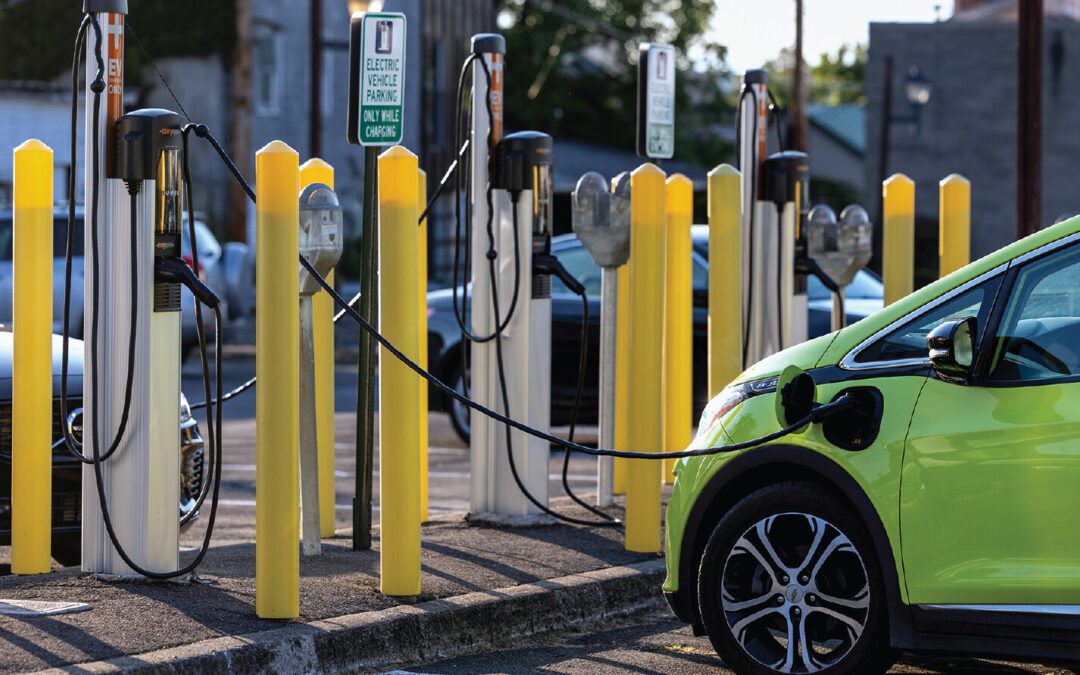 A cautious approach to subsidies for environmental sustainability